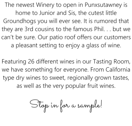 The newest Winery to open in Punxsutawney is home to Junior and Sis, the cutest little Groundhogs you will ever see. It is rumored that they are 3rd cousins to the famous Phil. . . but we can’t be sure. Our patio roof offers our customers a pleasant setting to enjoy a glass of wine.  Featuring 26 different wines in our Tasting Room, we have something for everyone. From California type dry wines to sweet, regionally grown tastes, as well as the very popular fruit wines. Stop in for a sample!